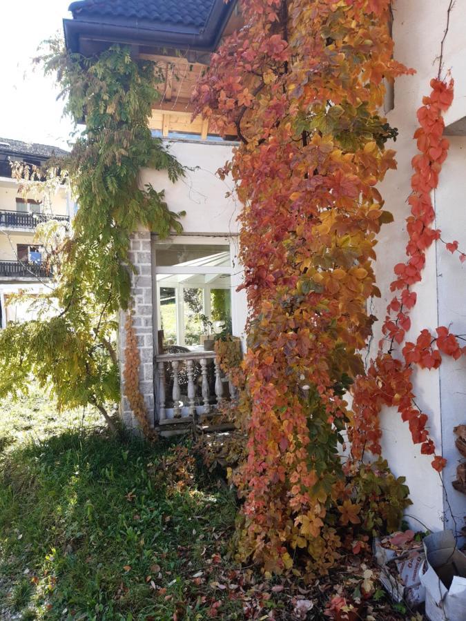 Locanda Rondolost Cencenighe Exteriör bild